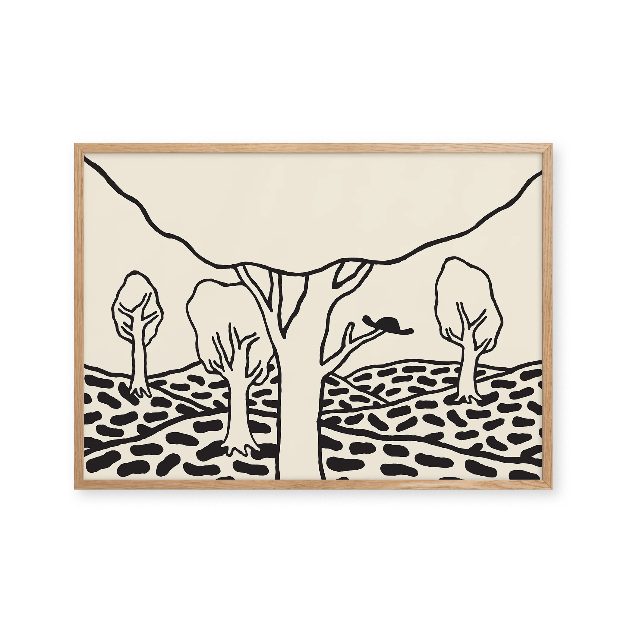 Foret De Troncais